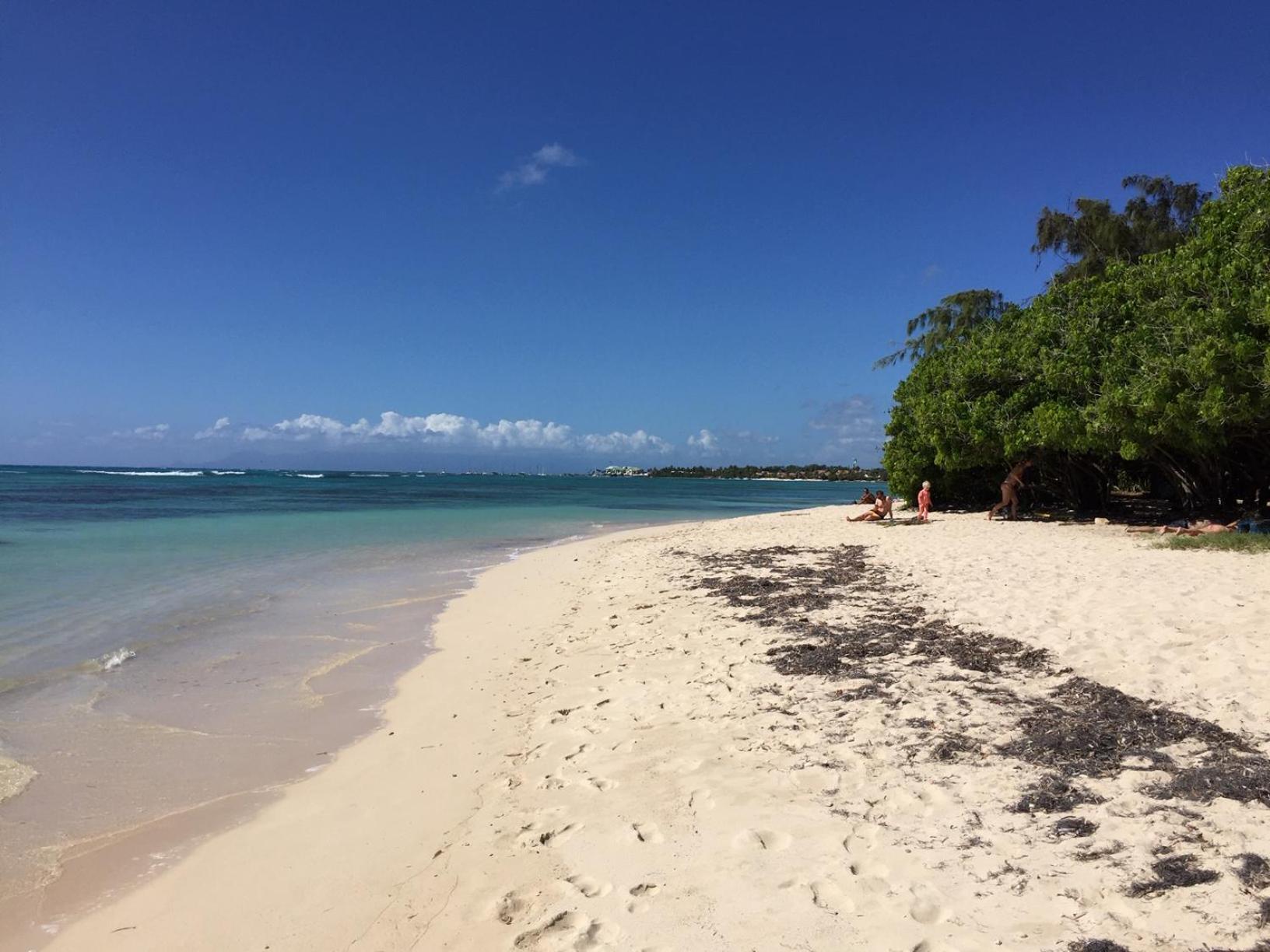 Villa Les Saintes 4/5 P A 50M De La Plage De L'Anse De Mancillier Экстерьер фото