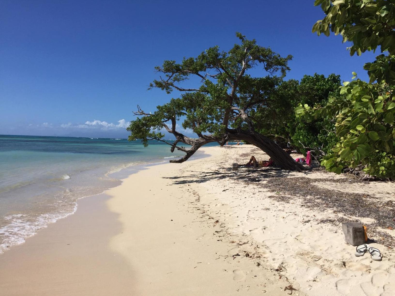 Villa Les Saintes 4/5 P A 50M De La Plage De L'Anse De Mancillier Экстерьер фото